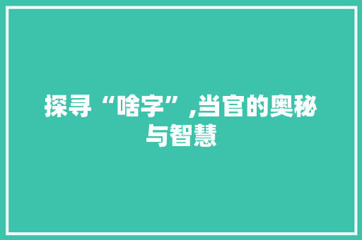 探寻“啥字”,当官的奥秘与智慧