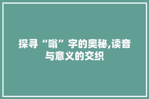 探寻“嗡”字的奥秘,读音与意义的交织 报告写作
