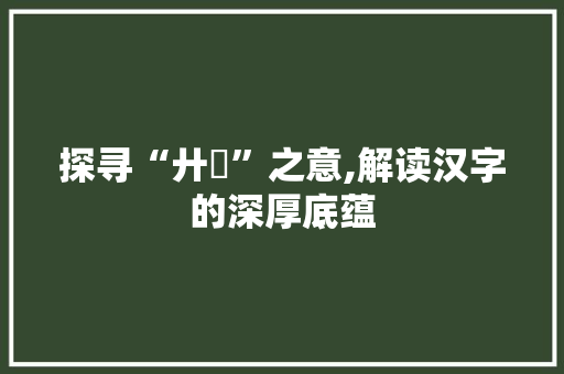 探寻“廾匸”之意,解读汉字的深厚底蕴