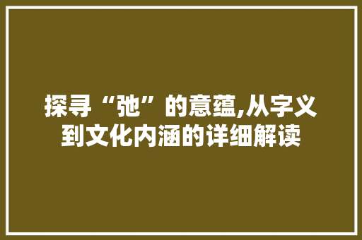 探寻“弛”的意蕴,从字义到文化内涵的详细解读