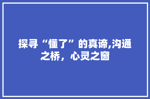 探寻“懂了”的真谛,沟通之桥，心灵之窗