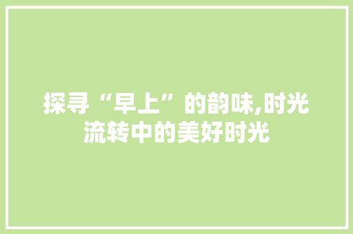 探寻“早上”的韵味,时光流转中的美好时光