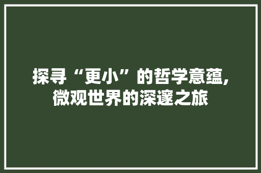 探寻“更小”的哲学意蕴,微观世界的深邃之旅