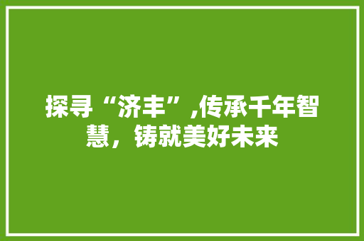 探寻“济丰”,传承千年智慧，铸就美好未来