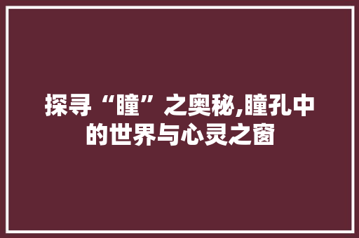 探寻“瞳”之奥秘,瞳孔中的世界与心灵之窗