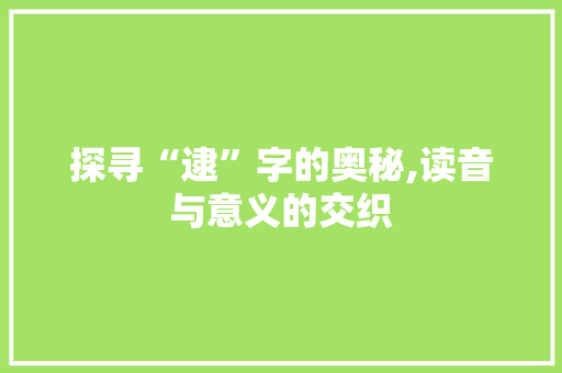探寻“逮”字的奥秘,读音与意义的交织