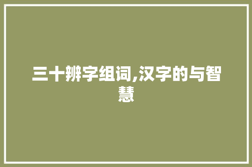 三十辨字组词,汉字的与智慧