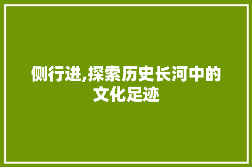 侧行进,探索历史长河中的文化足迹