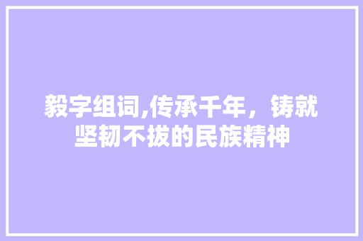 毅字组词,传承千年，铸就坚韧不拔的民族精神