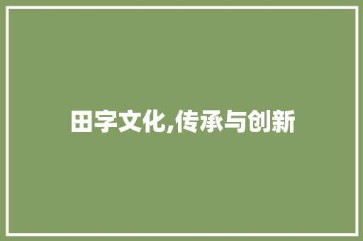 田字文化,传承与创新