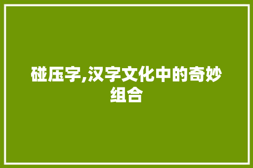 碰压字,汉字文化中的奇妙组合