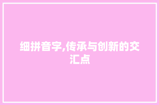 细拼音字,传承与创新的交汇点
