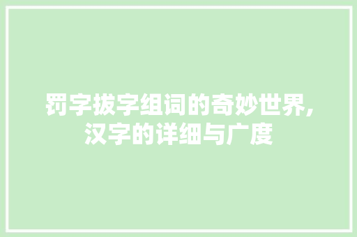 罚字拔字组词的奇妙世界,汉字的详细与广度