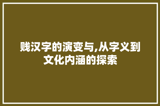 贱汉字的演变与,从字义到文化内涵的探索 商业文案