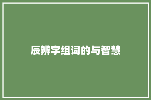 辰辨字组词的与智慧