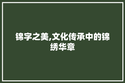 锦字之美,文化传承中的锦绣华章