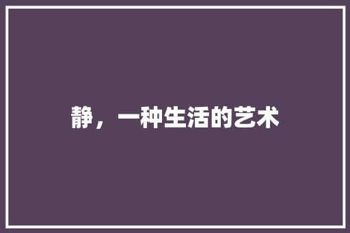 静，一种生活的艺术