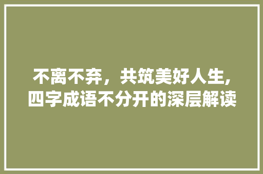 不离不弃，共筑美好人生,四字成语不分开的深层解读_不分开意思的四字成语