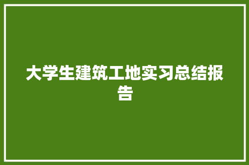 大学生建筑工地实习总结报告 写作技巧