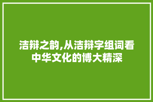 洁辩之韵,从洁辩字组词看中华文化的博大精深