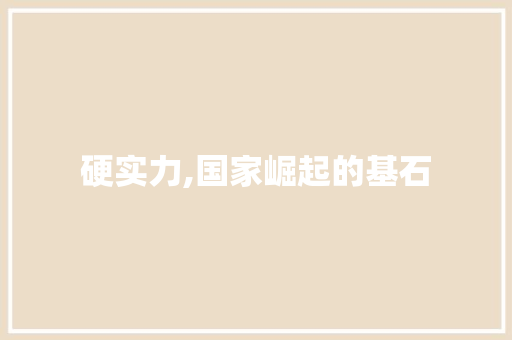 硬实力,国家崛起的基石