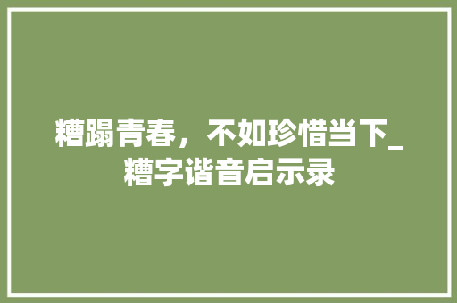 糟蹋青春，不如珍惜当下_糟字谐音启示录 写作素材