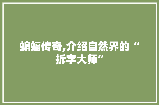 蝙蝠传奇,介绍自然界的“拆字大师”