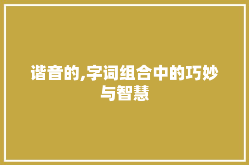 谐音的,字词组合中的巧妙与智慧
