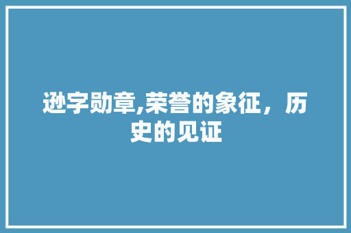 逊字勋章,荣誉的象征，历史的见证