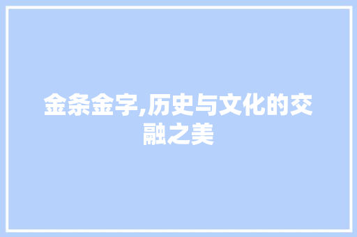 金条金字,历史与文化的交融之美