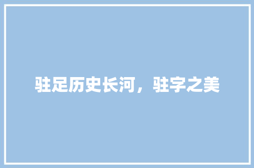 驻足历史长河，驻字之美 商业文案