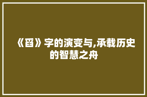 《舀》字的演变与,承载历史的智慧之舟