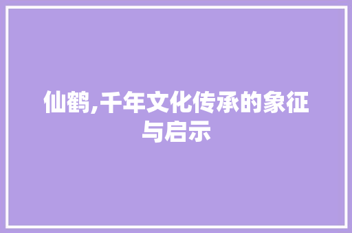仙鹤,千年文化传承的象征与启示