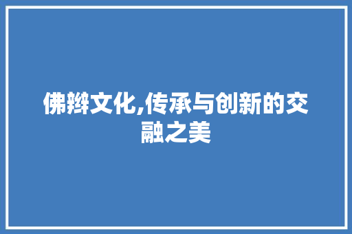 佛辫文化,传承与创新的交融之美