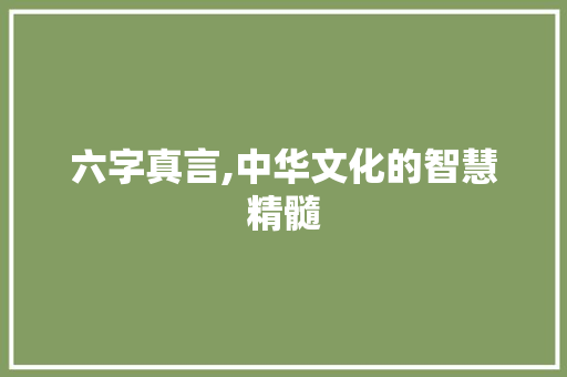 六字真言,中华文化的智慧精髓 商业文案