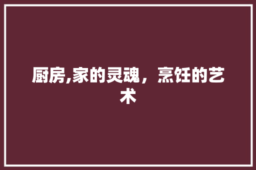 厨房,家的灵魂，烹饪的艺术 商业文案