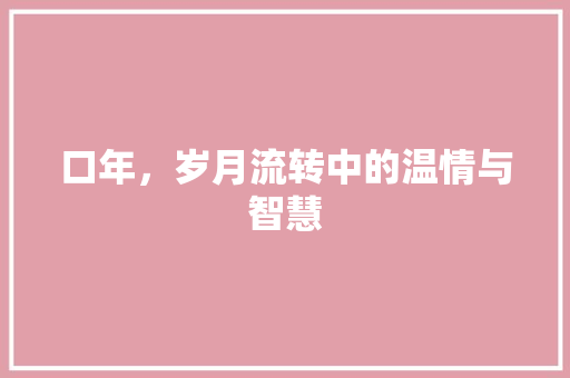 口年，岁月流转中的温情与智慧