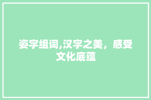 姿字组词,汉字之美，感受文化底蕴 范文赏析