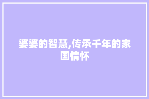 婆婆的智慧,传承千年的家国情怀 报告写作