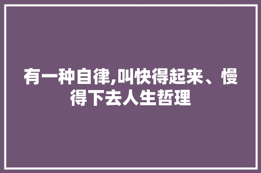 有一种自律,叫快得起来、慢得下去人生哲理 商业文案