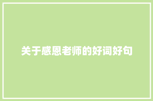 关于感恩老师的好词好句