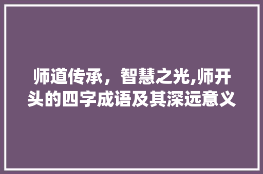 师道传承，智慧之光,师开头的四字成语及其深远意义_师开头的四字成语及意思 词汇积累