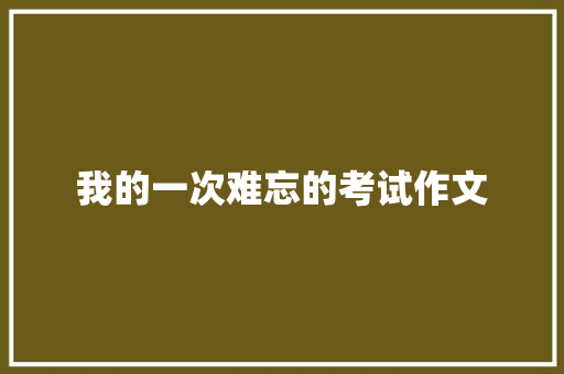 我的一次难忘的考试作文 词汇积累