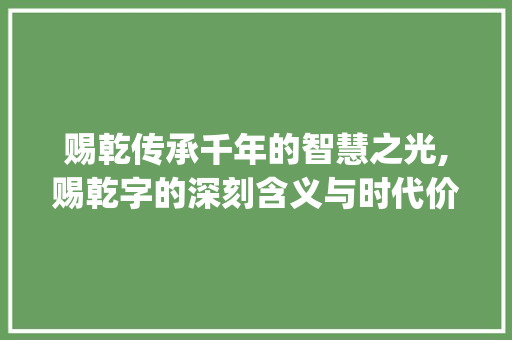 赐乾传承千年的智慧之光,赐乾字的深刻含义与时代价值_赐乾字的含义是什么意思