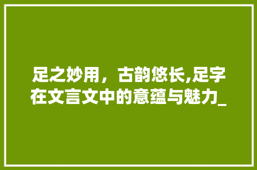 足之妙用，古韵悠长,足字在文言文中的意蕴与魅力_文言文中足字的翻译意思 范文赏析