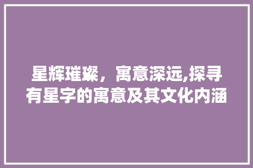 星辉璀璨，寓意深远,探寻有星字的寓意及其文化内涵_有星字的寓意是什么意思