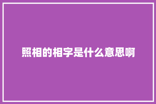 照相的相字是什么意思啊