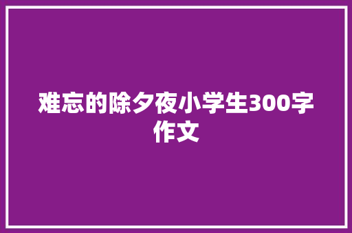 难忘的除夕夜小学生300字作文