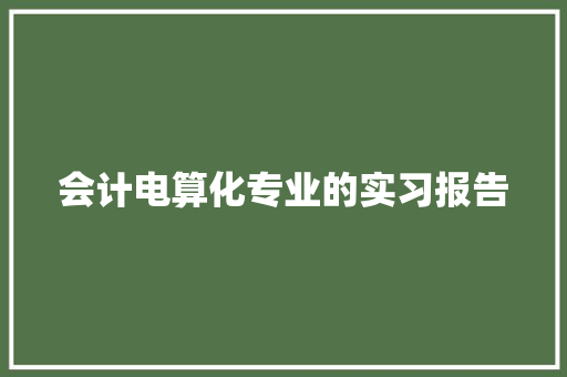 会计电算化专业的实习报告
