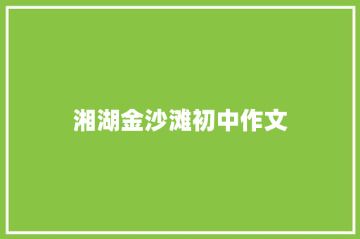 湘湖金沙滩初中作文